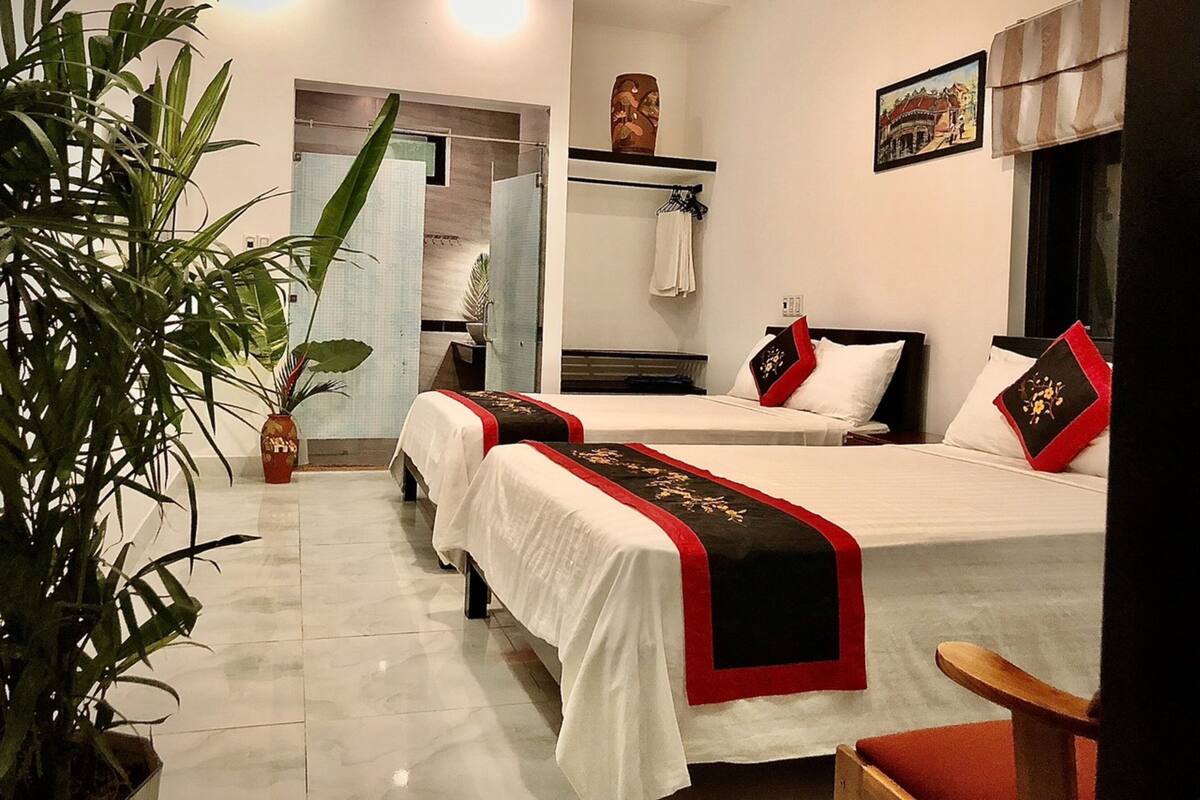 Habitación de hotel con dos camas, una planta grande en maceta, un espejo y un cuadro en la pared.