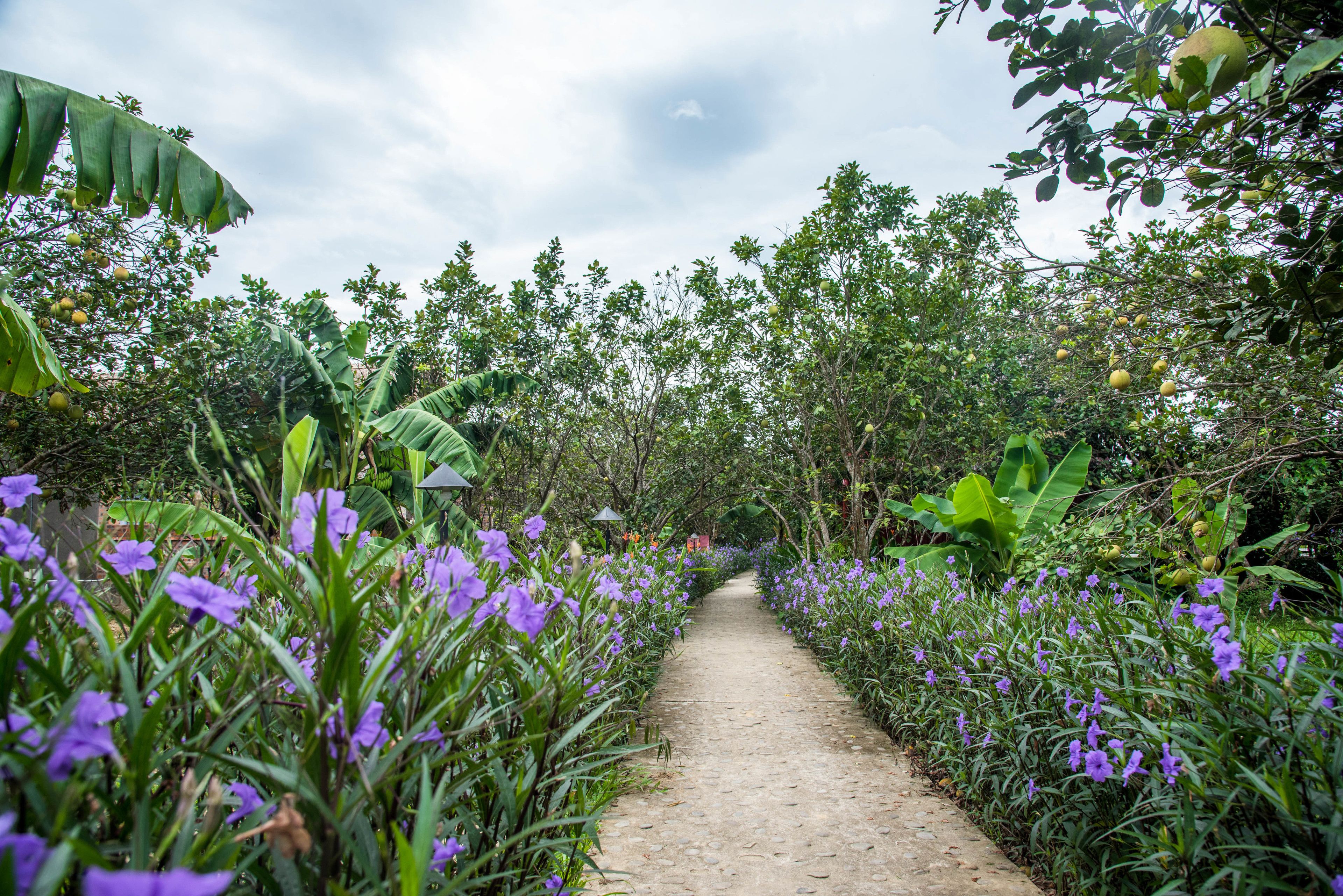 Photo - Hue Ecolodge