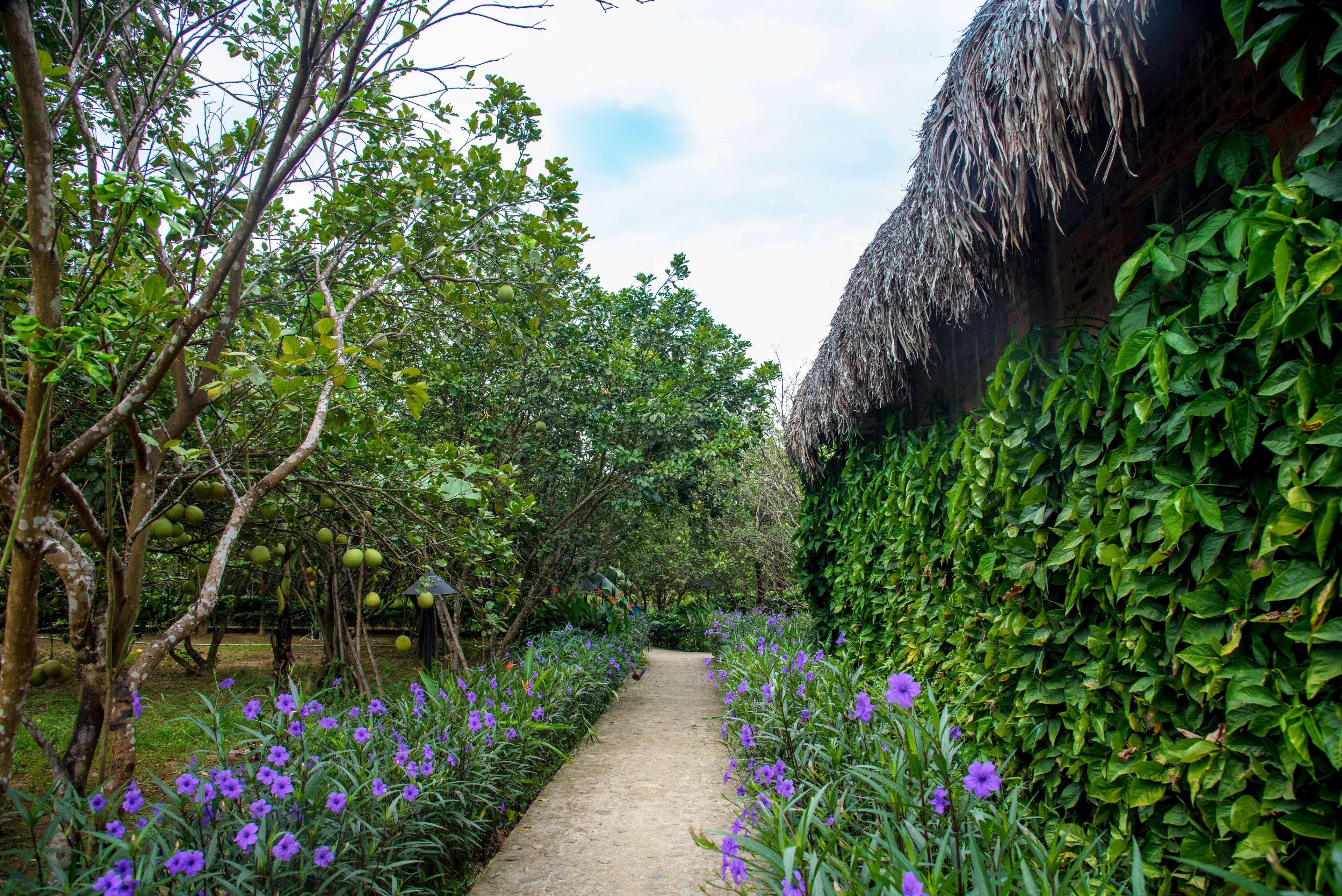 Photo - Hue Ecolodge