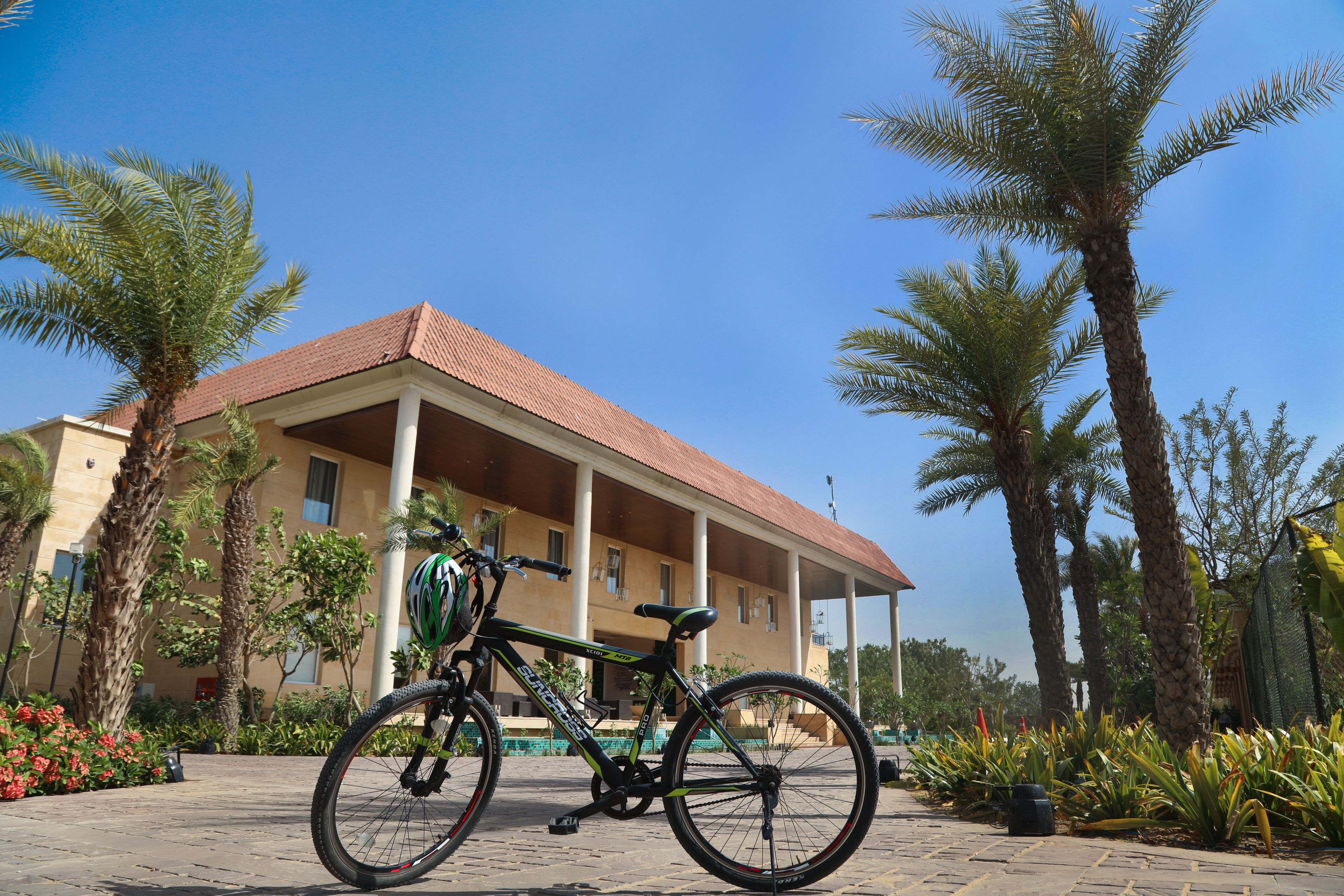 A bicycle parked in front of a building with a red roof and columns, surrounded by palm trees and plants.