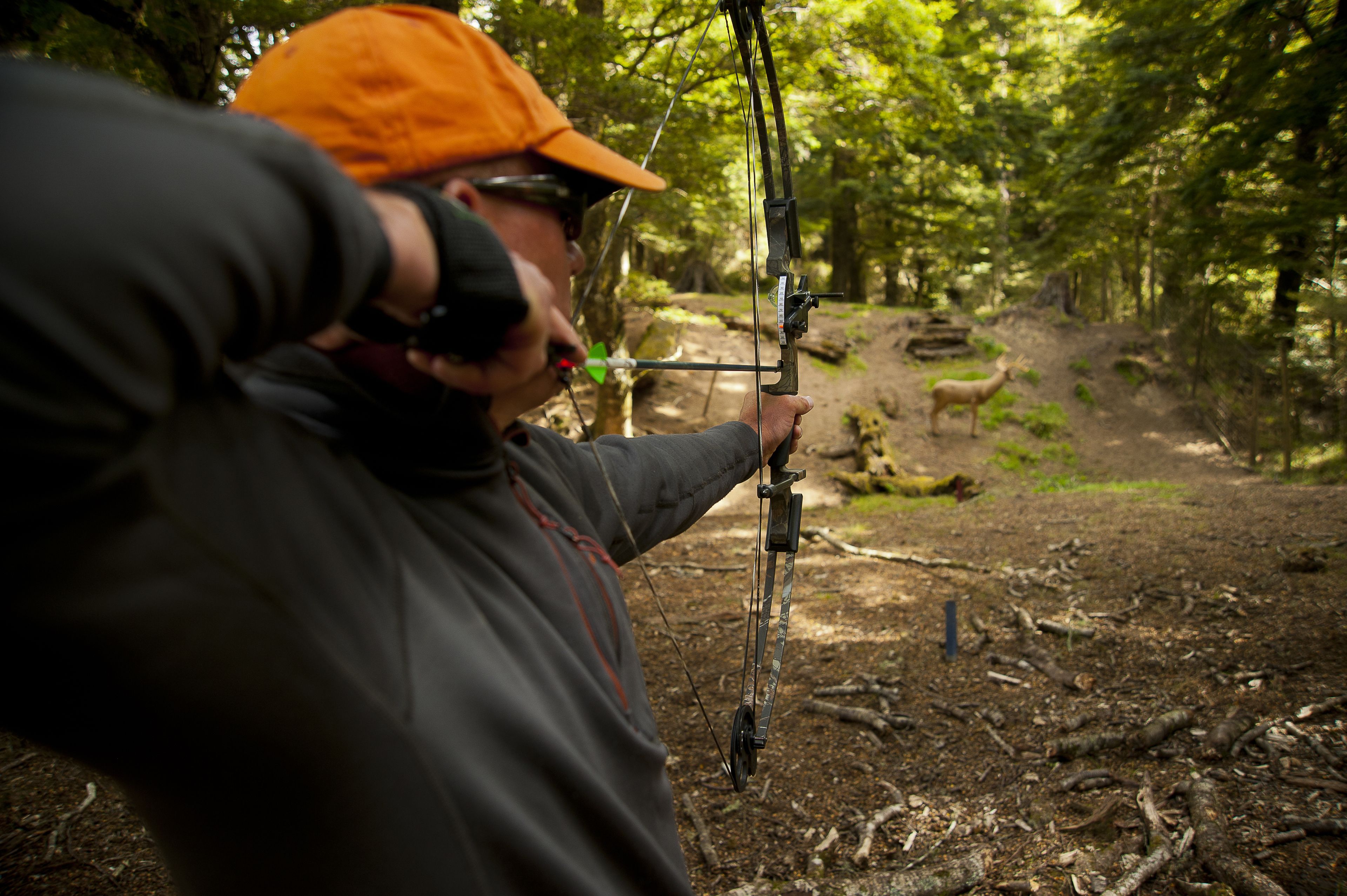 A person aiming a bow in a forest setting.