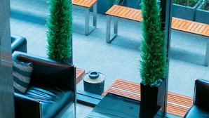 A modern indoor seating area with sofas and tables, large windows, and potted plants. - Spenza Hotel (Bangkok)