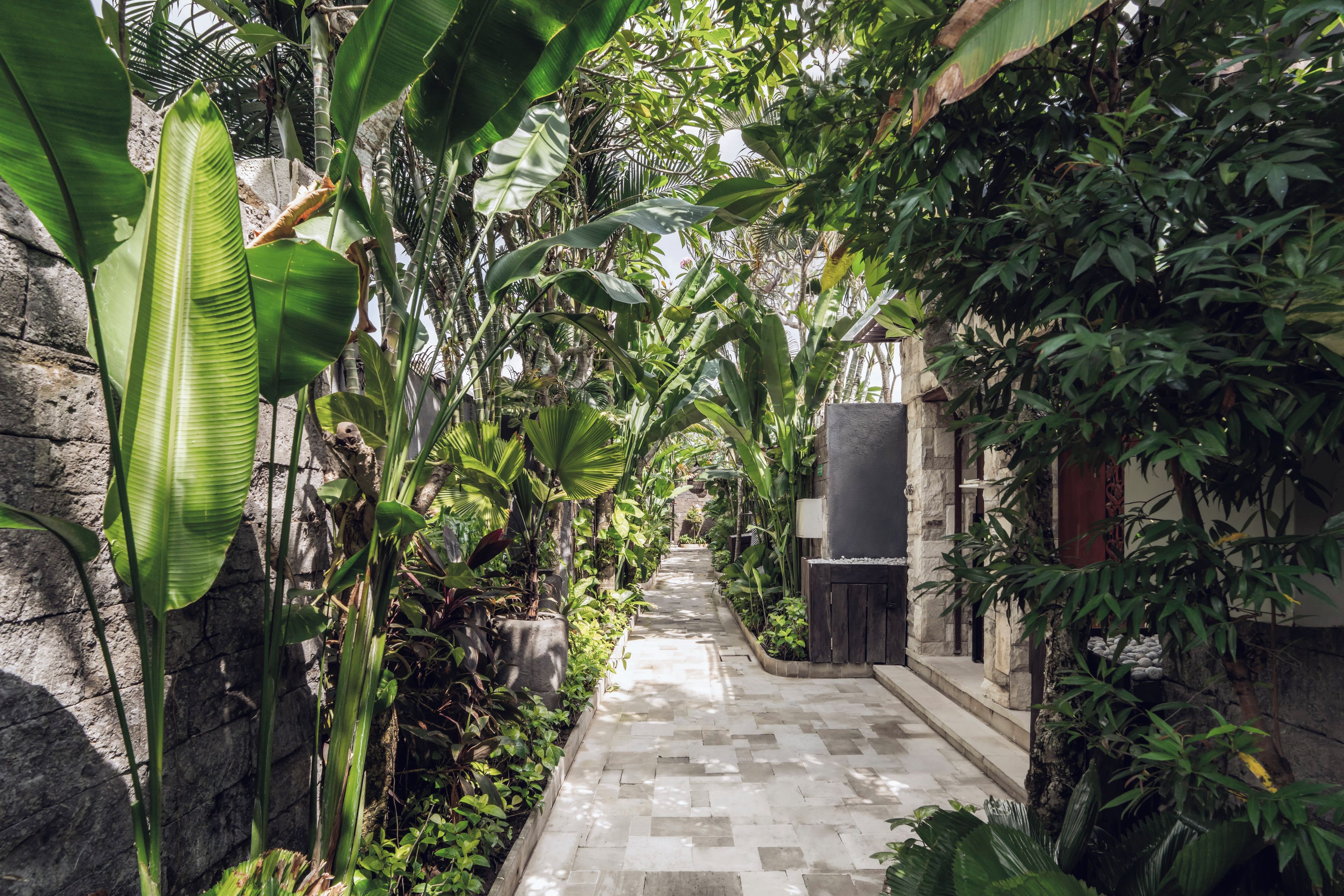 Un étroit sentier de pierre, bordé d’une végétation tropicale luxuriante, mène à un bâtiment doté d’une porte sombre et de murs en pierre.