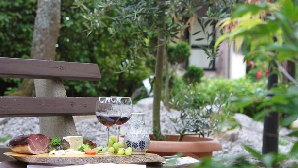 Een picknicktafel met een houten bank, een bord met kaas, druiven en een fles wijn, omringd door groen.