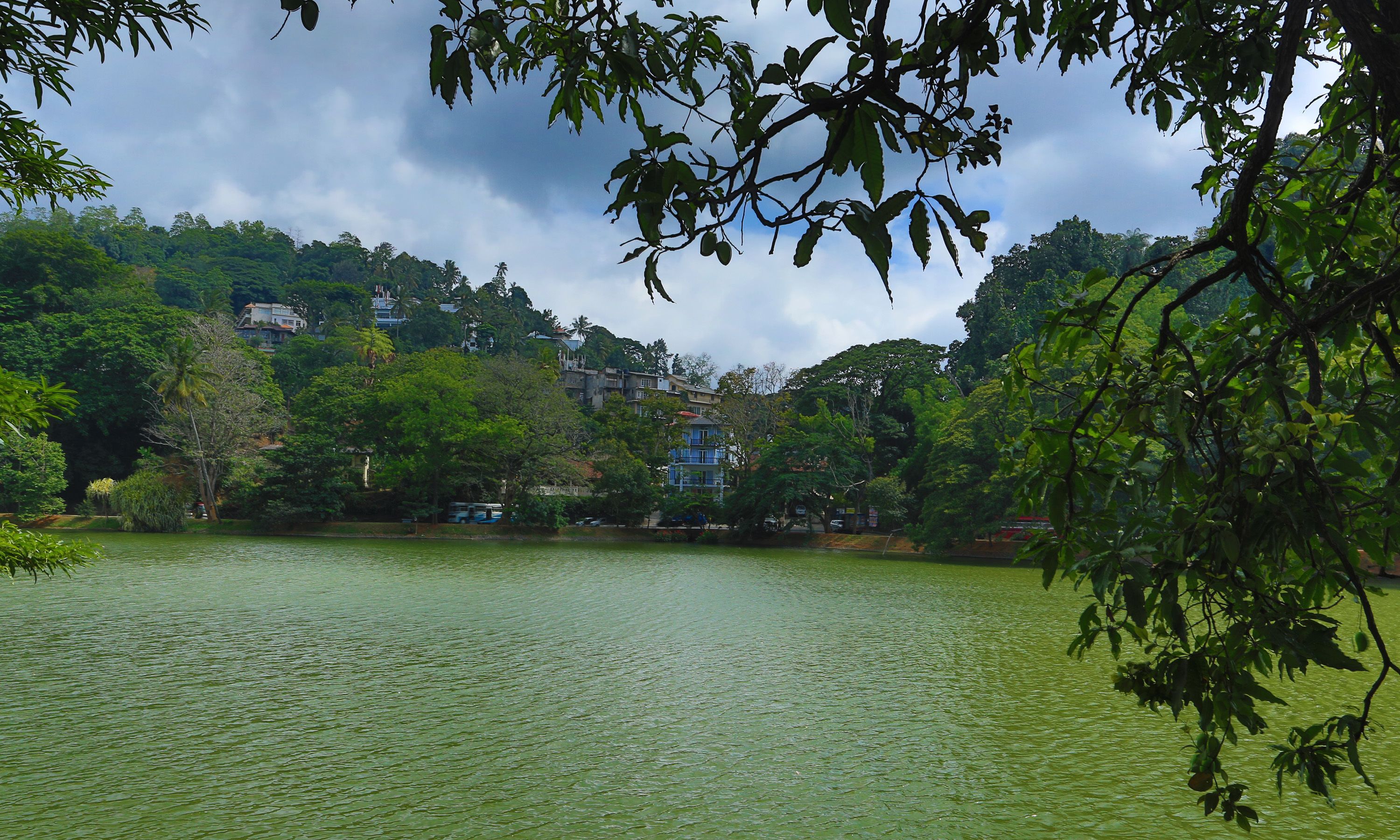 A lake surrounded by lush greenery and buildings in the background.