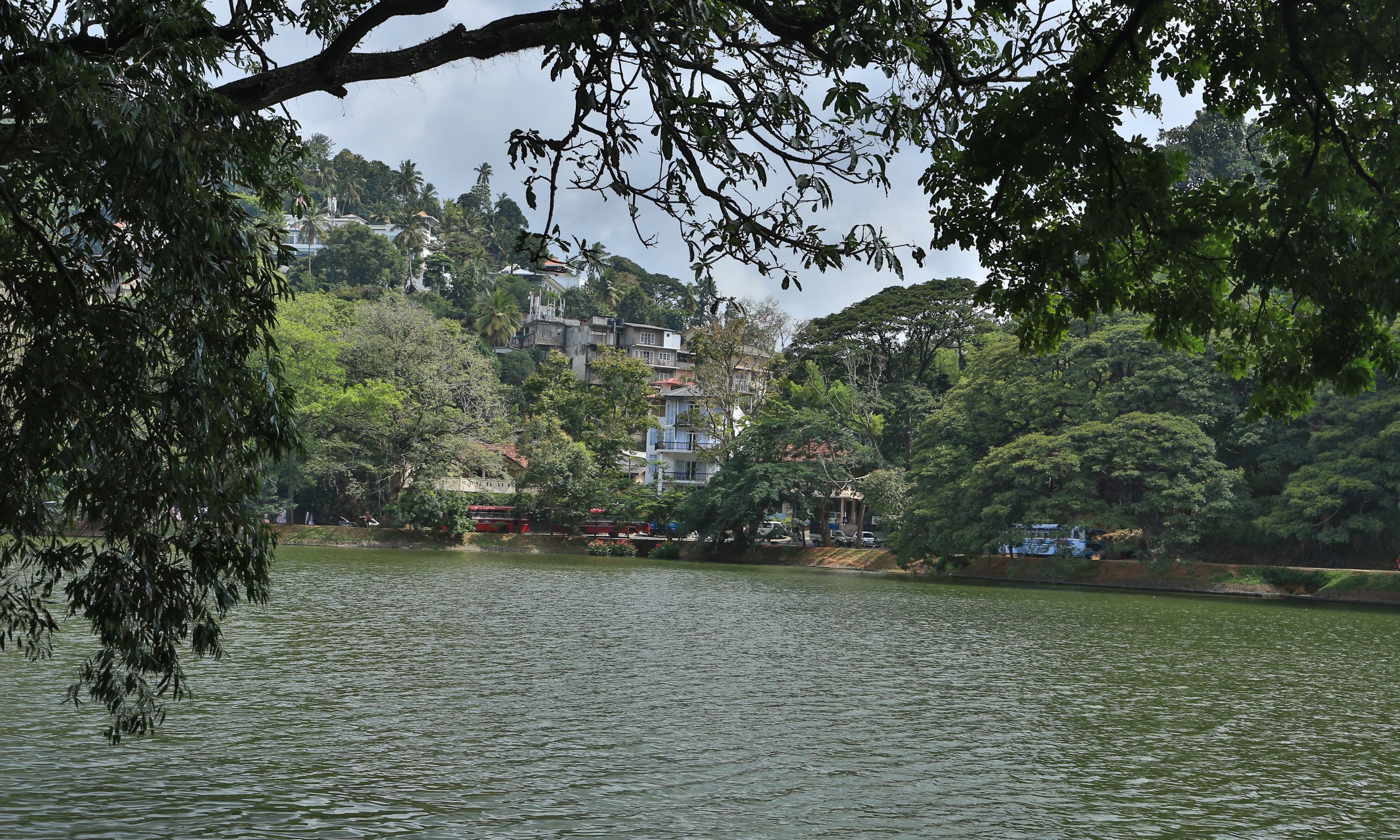 A lake with buildings in the background.