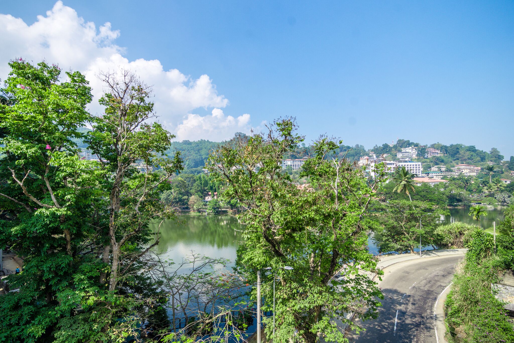 A scenic view of a lake surrounded by lush greenery and buildings in the background.