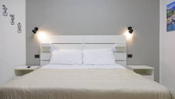 Basic Double or Twin Room