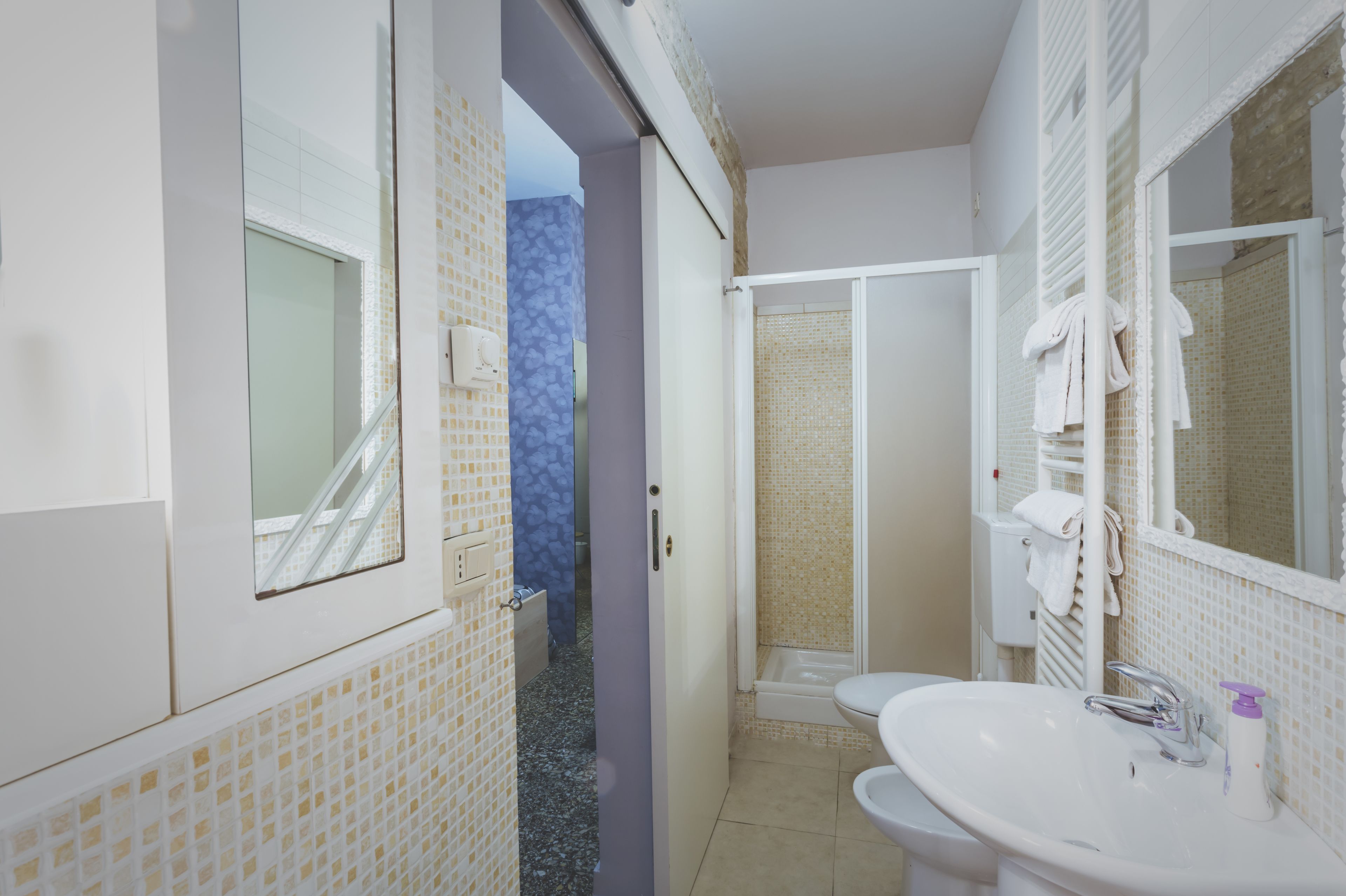 Une salle de bain avec un lavabo blanc, un miroir et une douche.