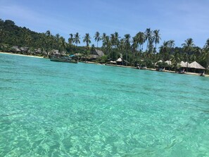 Une plage tropicale avec une eau turquoise cristalline, des palmiers et des huttes aux toits de chaume.