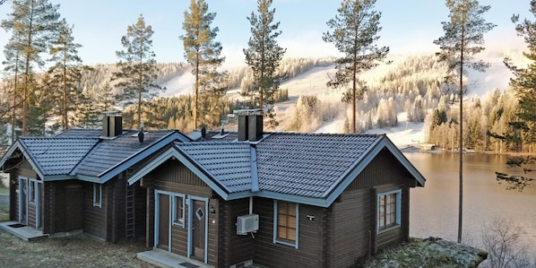 A cabin with a sloped roof, a chimney, and a small porch. It is surrounded by a forest and a lake.