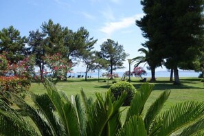 Property grounds - Nafsika Beach (Delphi)