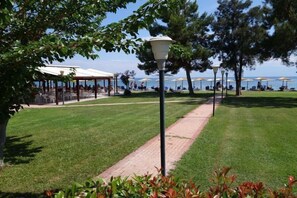 Property grounds - Nafsika Beach (Delphi)