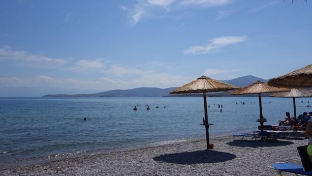 A beach with umbrellas and people swimming. - Nafsika Beach (Delphi)