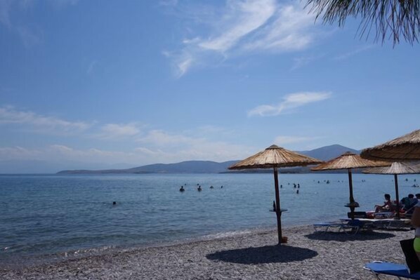 On the beach, sun-loungers, beach umbrellas, beach bar - Nafsika Beach (Delphi)