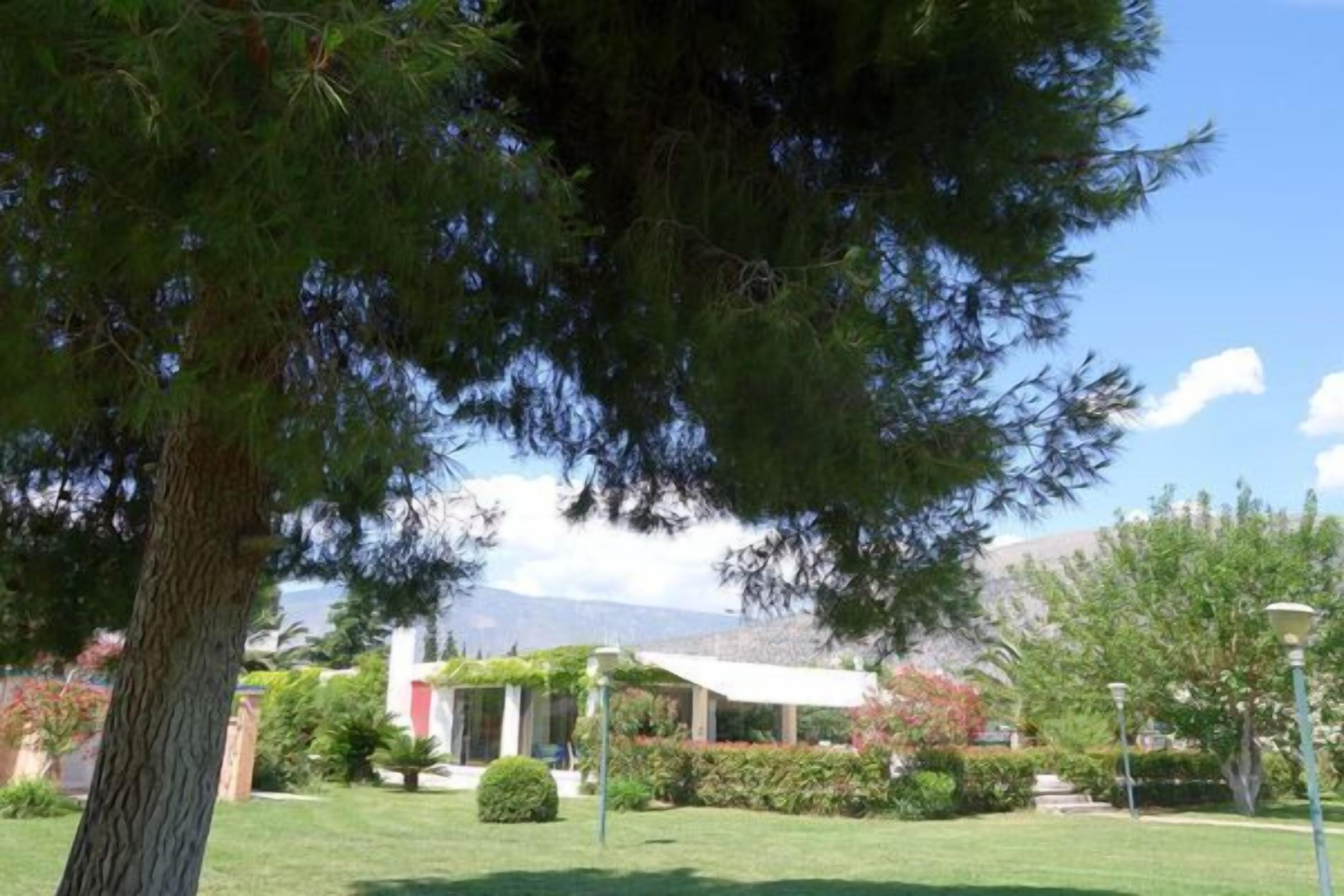 Un jardin bien entretenu avec un grand arbre, un bâtiment blanc doté d’un patio abrité et un ciel dégagé.