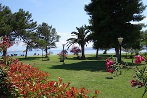 Property grounds - Nafsika Beach (Delphi)