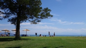 A grassy area with a large tree, beach umbrellas, and people relaxing by the water. - Nafsika Beach (Delphi)