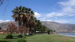 A beach with palm trees and a mountain in the background. - Nafsika Beach (Delphi)