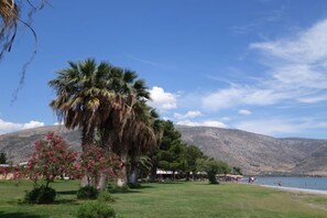 Property grounds - Nafsika Beach (Delphi)