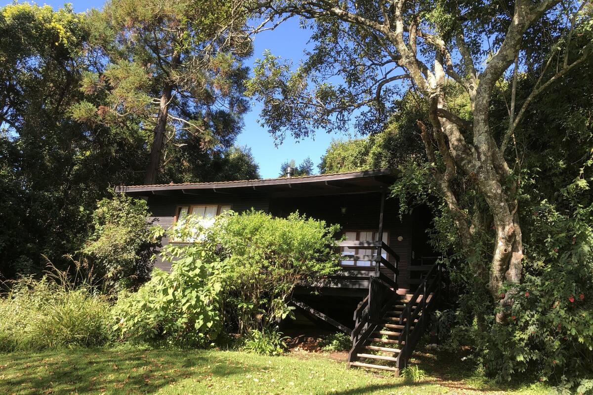 A rustic cabin with a wooden staircase leading to a deck, surrounded by dense greenery.