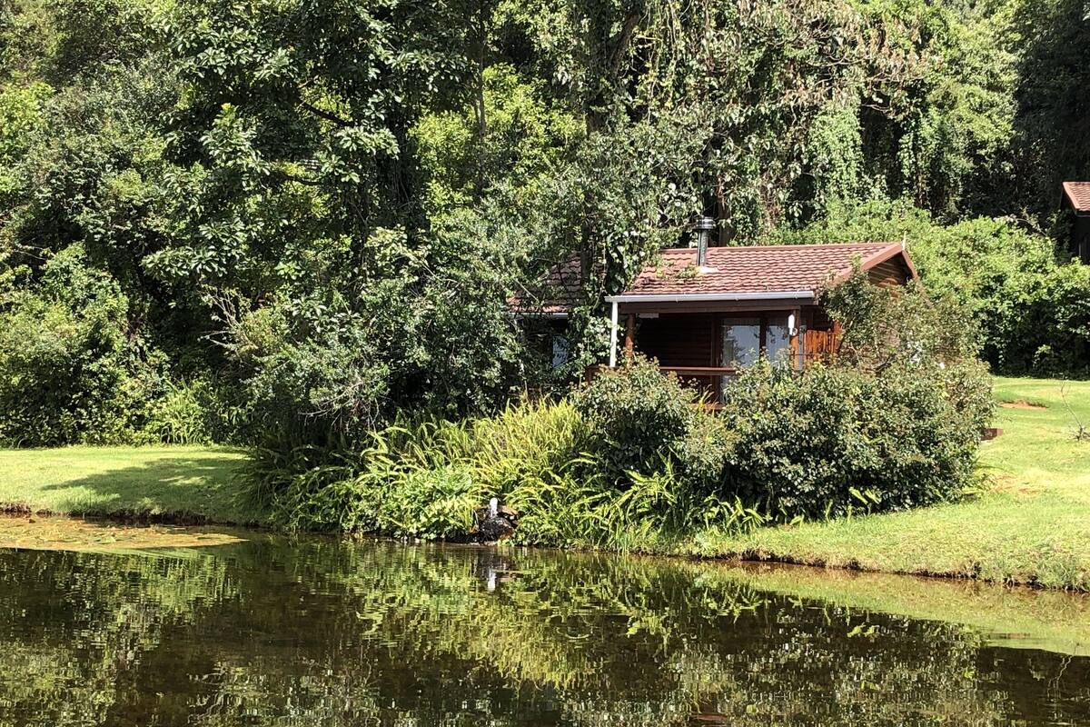 A rustic cabin surrounded by dense greenery and a pond.