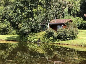 A rustic cabin surrounded by dense greenery and a pond.