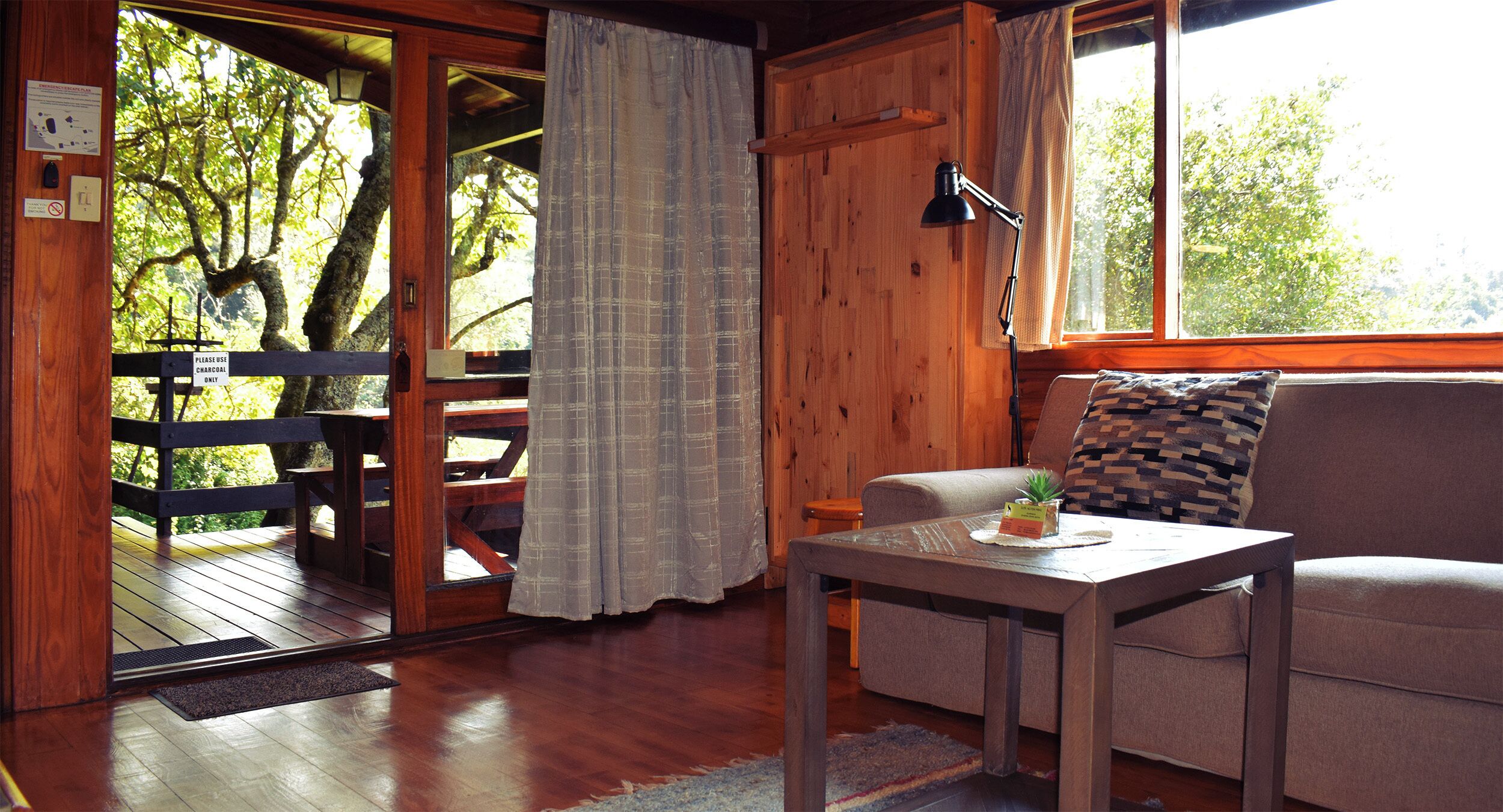 A wooden cabin interior with a wooden deck, a sofa, a table with a plant, and a window with curtains.