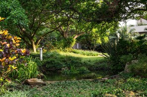 Jardim