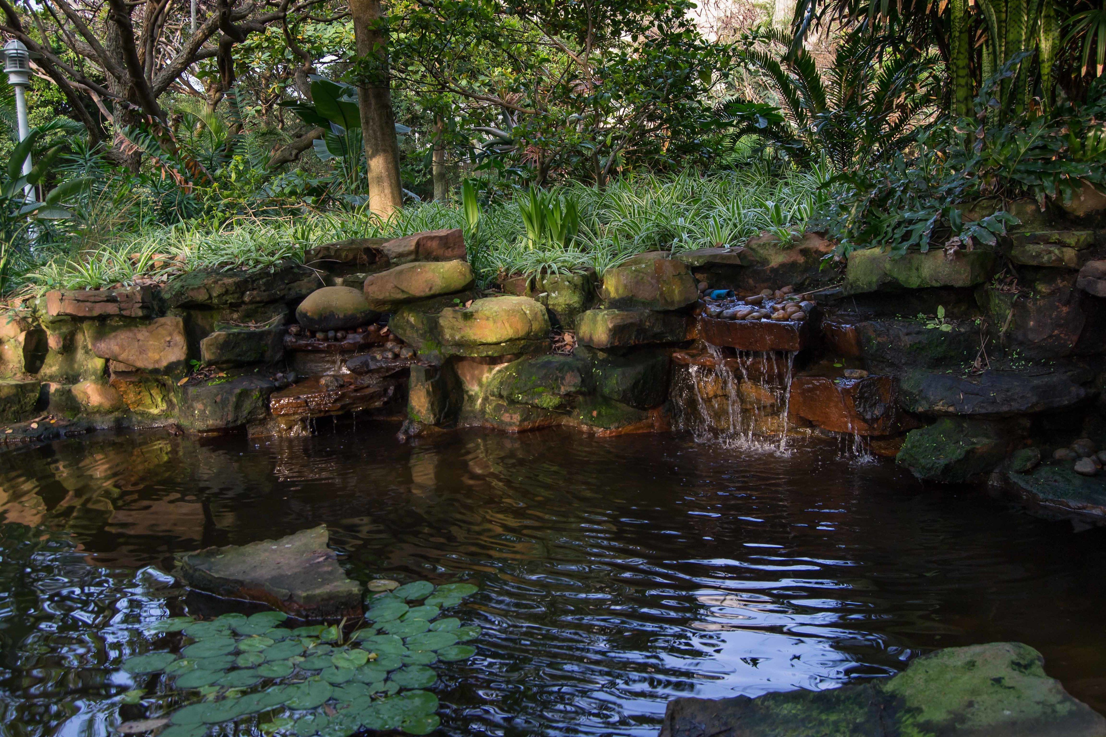 A natural pond with rocks and lily pads.
