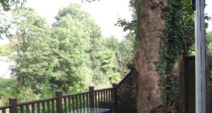Dalgarven House Hotel