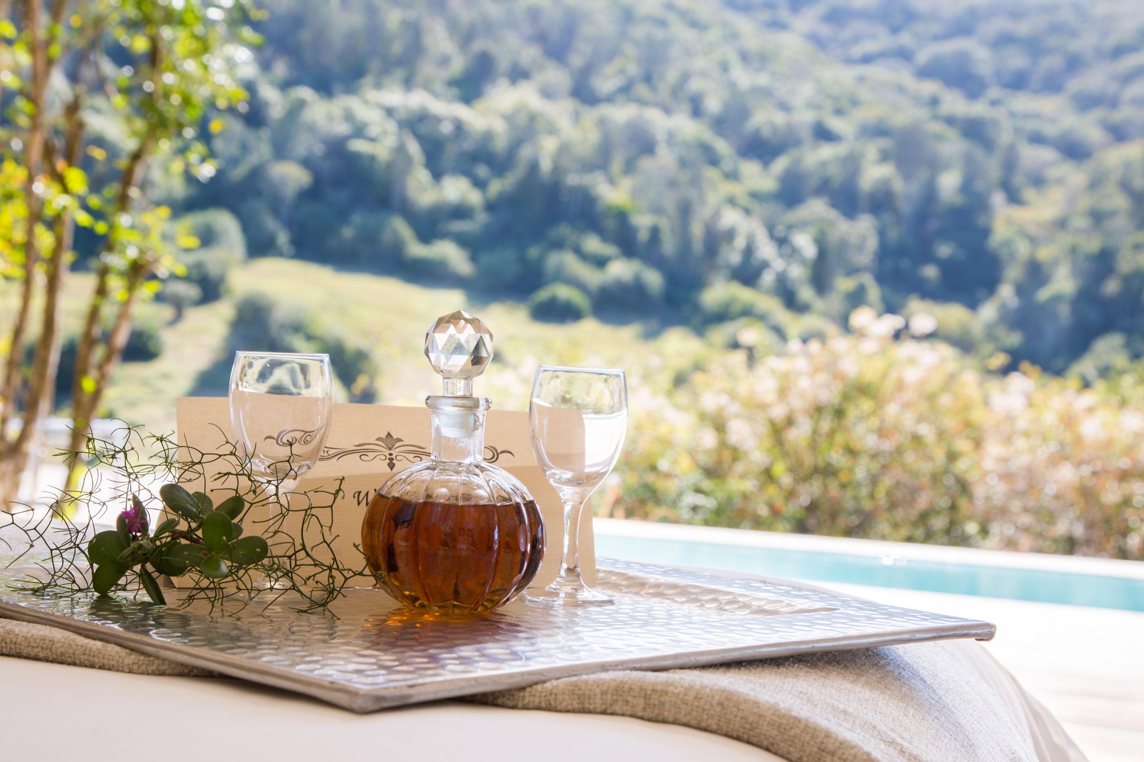 A table with a bottle and two glasses, set against a scenic outdoor view.