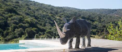 A wooden deck with a pool and a sculpture of a rhinoceros.