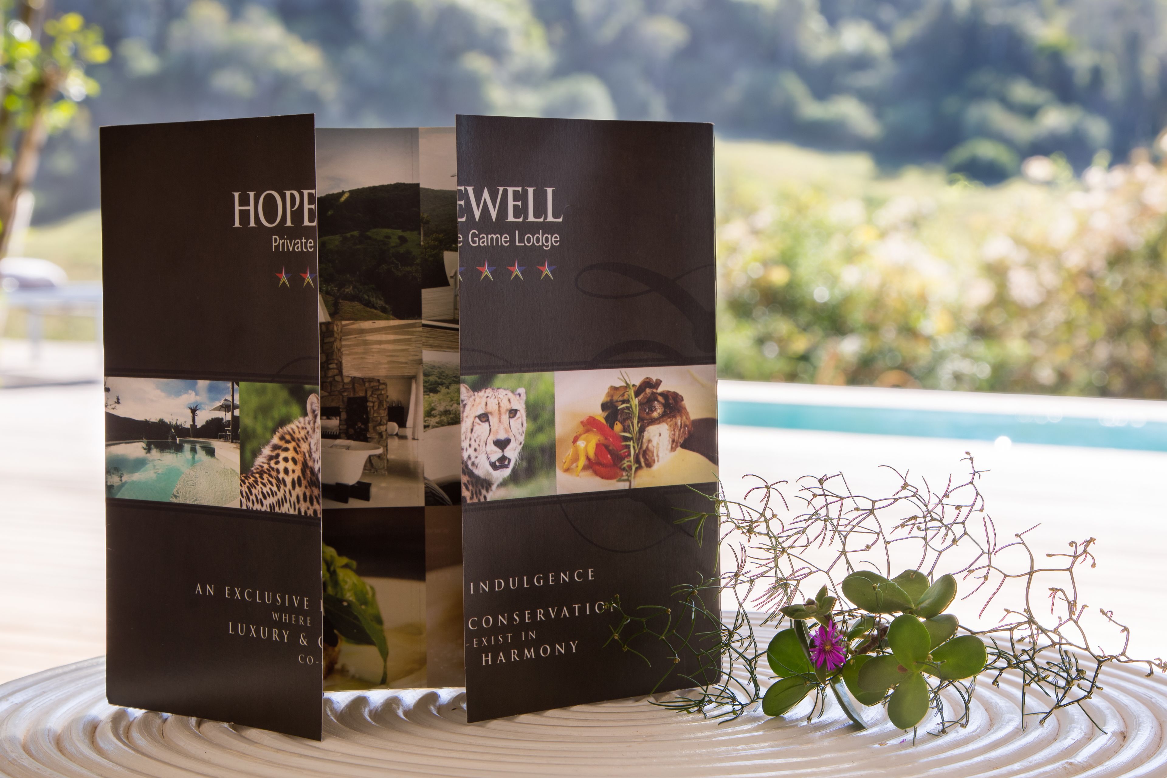 Three booklets titled 'HOPE', 'EWELL', and 'Indulgence' with images of wildlife and luxury.