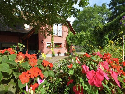 Family-Friendly Apartment