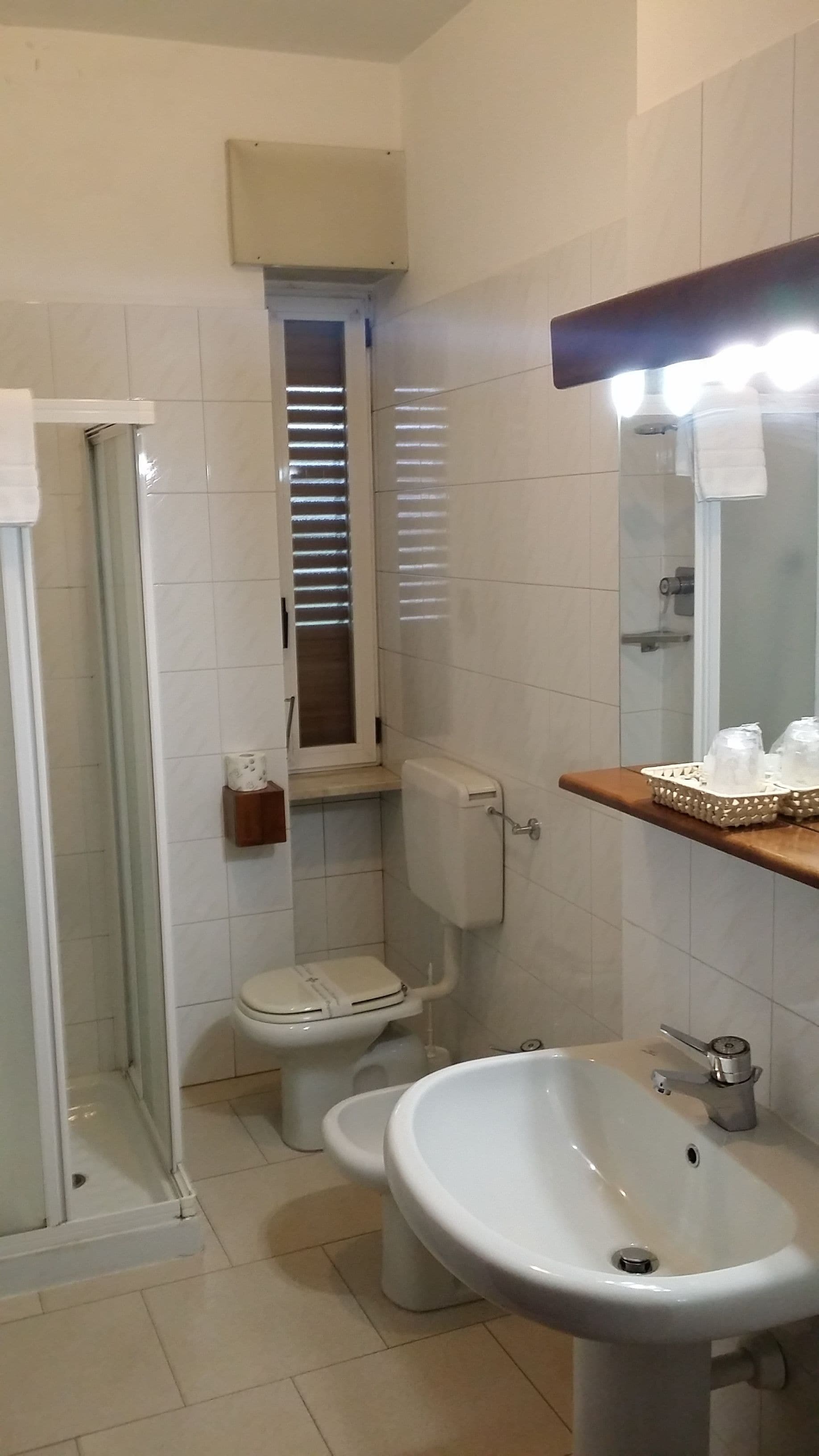 shower, free toiletries, hair dryer, bidet