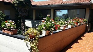 Un balcón con numerosas macetas llenas de diversas flores.