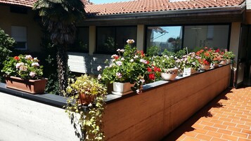 Varanda com vários vasos de flores.
