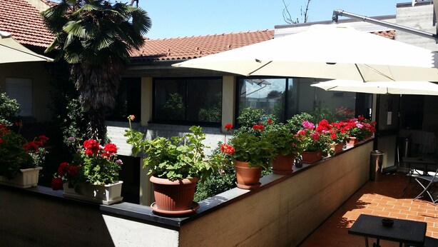 Un patio con plantas en macetas y una mesa bajo un gran paraguas.