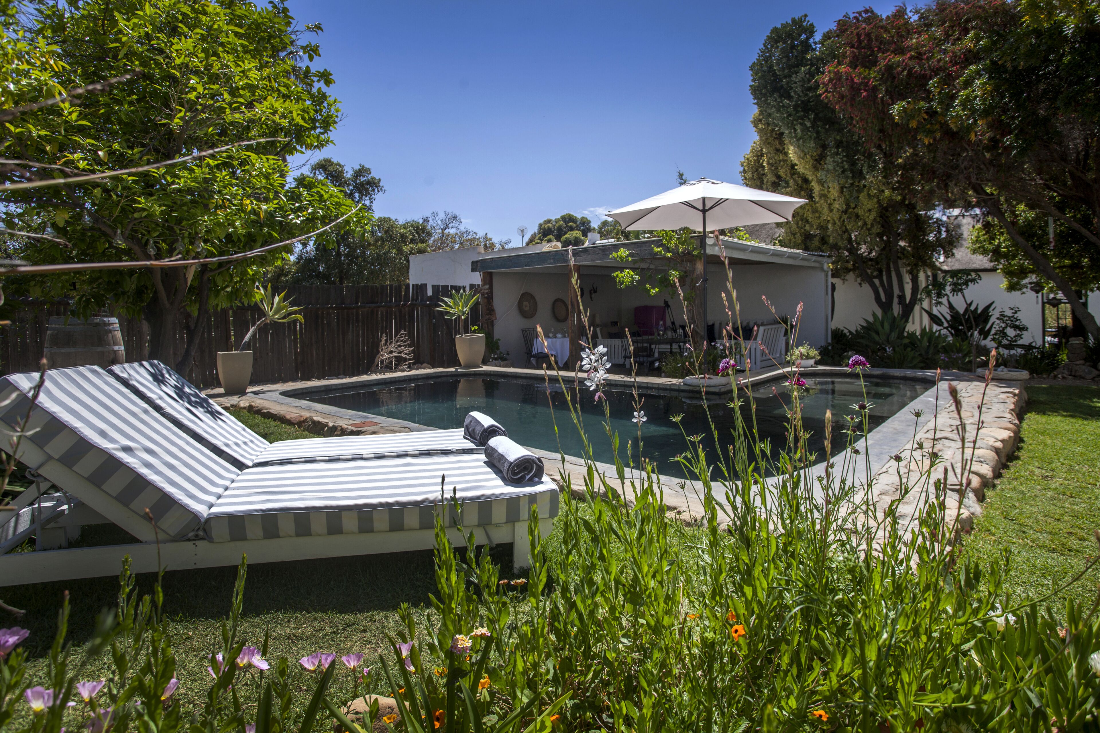 A backyard with a swimming pool, lounge chairs, and a covered patio area.