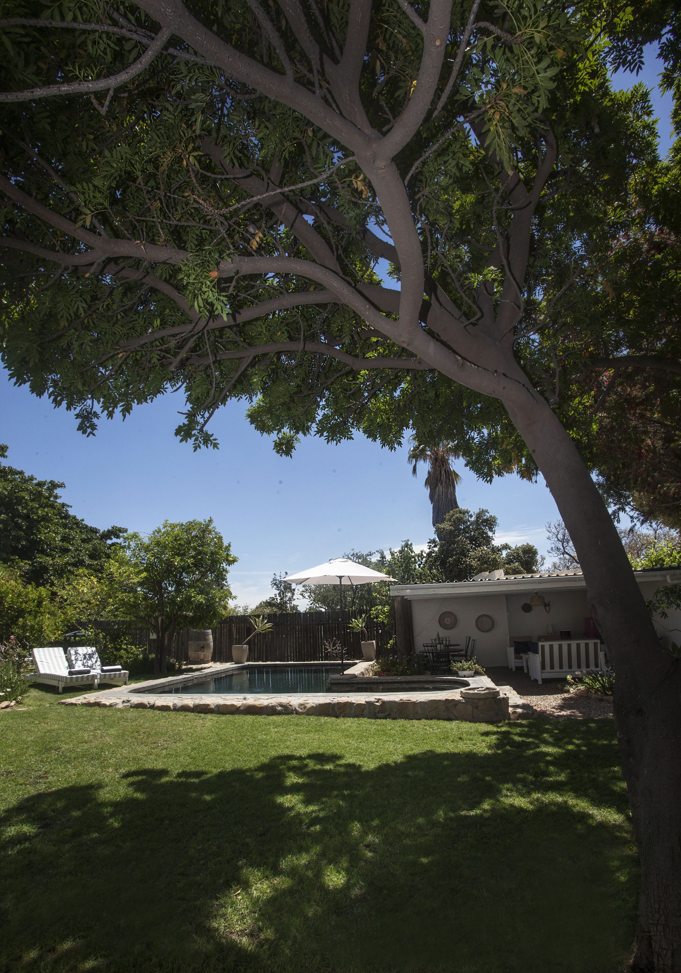 A backyard with a swimming pool, a covered patio, and a large tree providing shade.