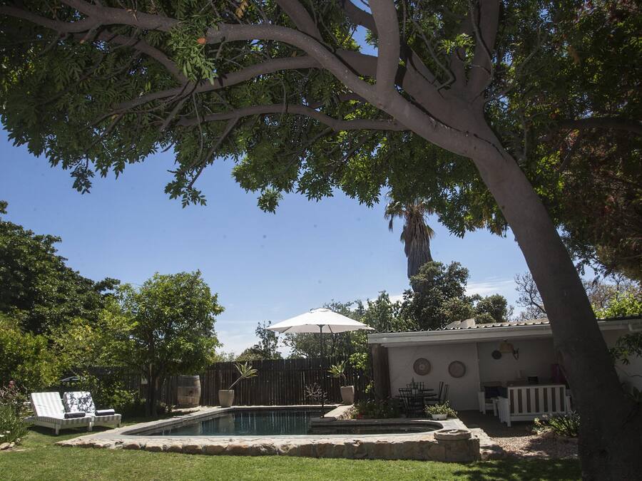 A backyard with a swimming pool, a covered patio, and a large tree providing shade.