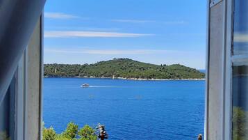 Standard Apartment, 2 Bedrooms, Terrace, Sea View | View from room