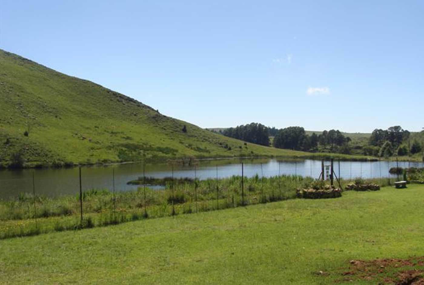Un paisaje sereno con un lago, prados cubiertos de hierba y una colina.