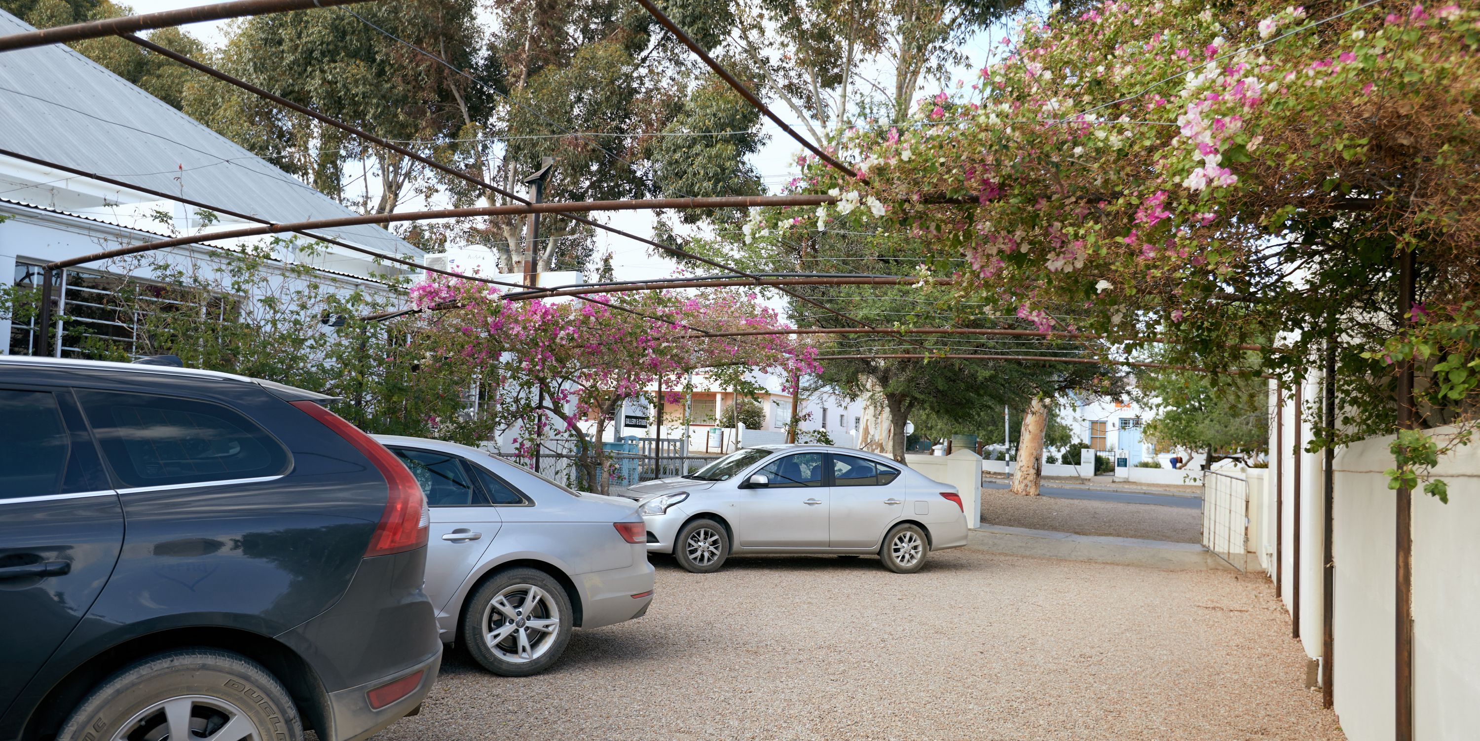 A parking area with two cars, a building with a white facade, and trees with pink flowers.