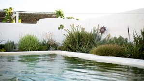 Een zwembad met helder water, omgeven door diverse planten en een decoratief ster-vormig object aan een witte muur.