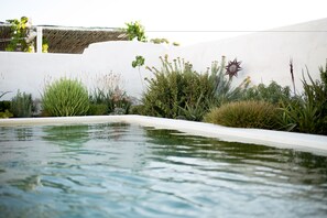 Deluxe Suite | Outdoor pool - Prince Albert Country Stay (Prince Albert)