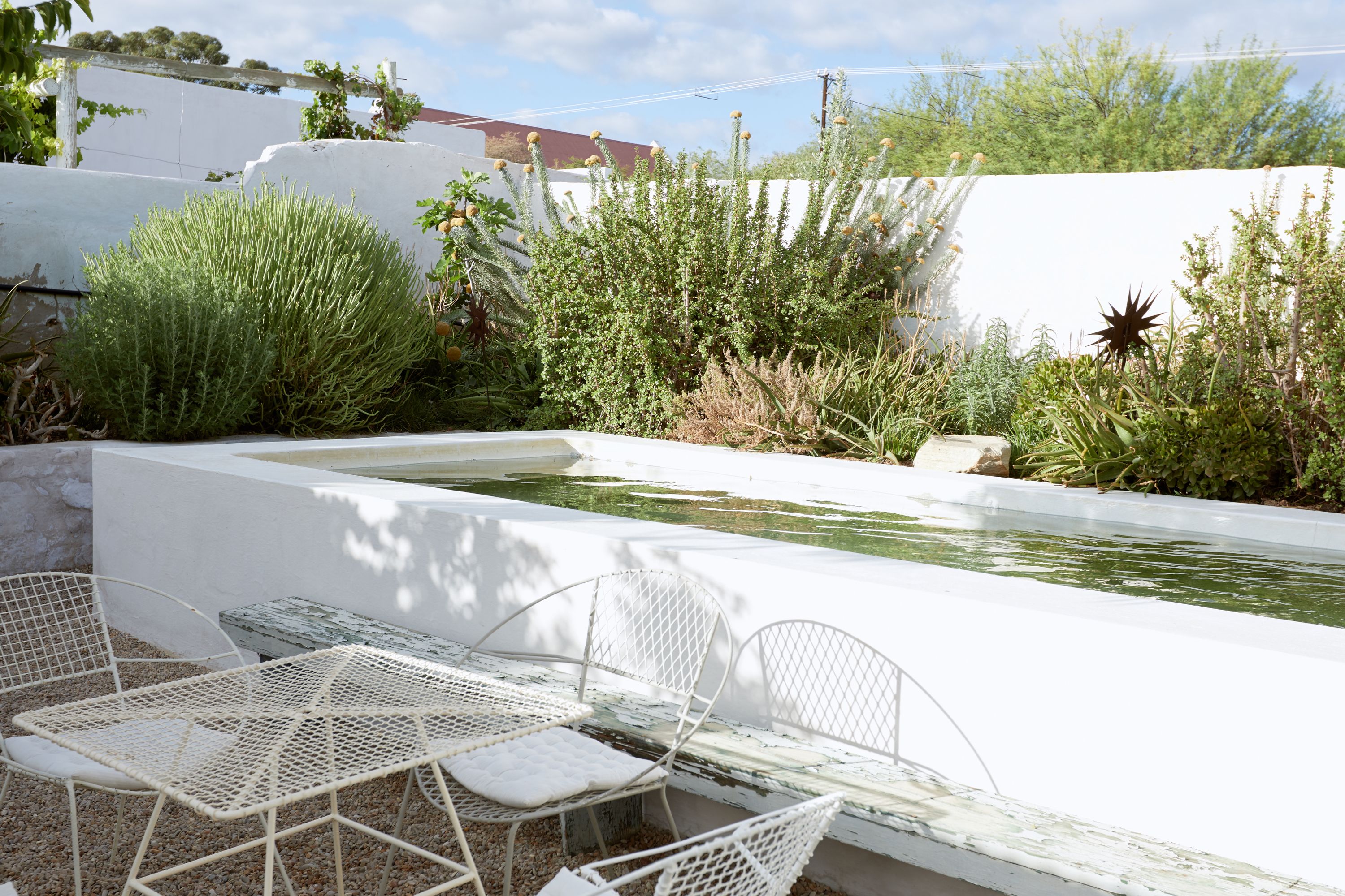Um jardim com uma piscina pequena, cadeiras de metal branco e diversas plantas.