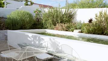 Um jardim com uma piscina pequena, cadeiras de metal branco e diversas plantas.