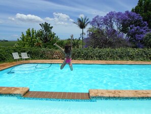 Outdoor pool, sun loungers - Aan-den-Weg (Stellenbosch)